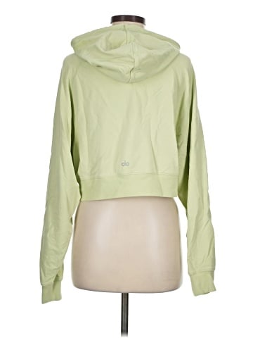 Alo Pullover Hoodie (view 2)