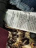 Chico's Animal Print Blue Denim Jacket Size M - photo 7