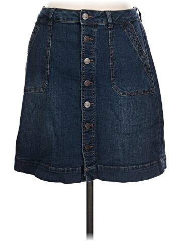 Jag Jeans Denim Skirt (view 1)