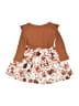 Assorted Brands Brown Dress Size 9-12 mo - photo 2