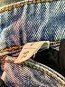 PacSun 100% Cotton Hearts Blue Jeans Size 26 waist - photo 6