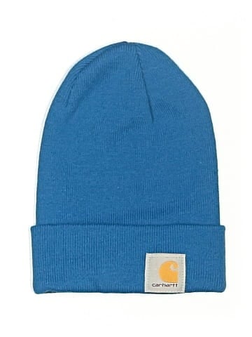 Carhartt Beanie (view 1)