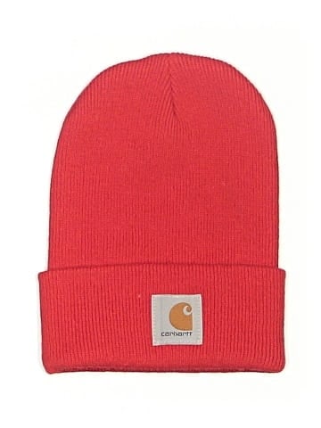 Carhartt Beanie (view 1)