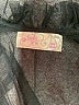 Free People 100% Nylon Black Kimono One size - photo 7