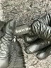 Sarin Mathews Black Casual Pants Size S - photo 7