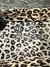 Bobeau 100% Cotton Brown Short Sleeve Blouse Size M - photo 7