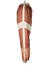 Champion 100% Nylon Color Block Brown Track Pants Size M - photo 4