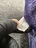 Tek Gear Solid Purple Athletic Shorts Size 11 - photo 4