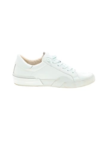 Dolce Vita Sneakers (view 1)