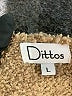 Dittos Tan Pullover Sweater Size L - photo 7