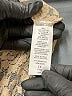 Ambiance Gold Bodysuit Size 1X - photo 4