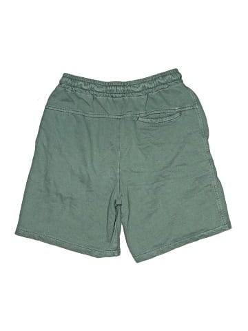 Zara Shorts (view 2)