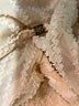 Daniel Rainn 100% Polyester Chevron-herringbone Ivory Casual Dress Size S - photo 7