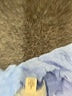 Truly Madly Deeply Blue Turtleneck Sweater Size S - photo 7