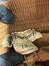 Democracy Brown Cargo Pants Size 1X - photo 4