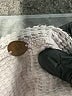 FP One 100% Cotton Gray Pullover Sweater Size S - photo 9