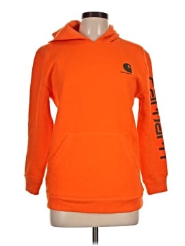 Carhartt Pullover Hoodie (view 1)