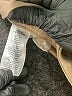 Theory Tan Khaki Shorts Size 2 - photo 4