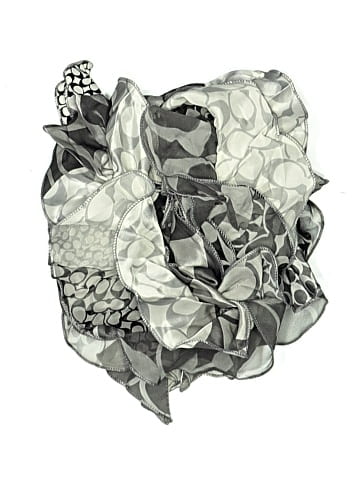 Coach Scarf (view 2)
