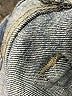 CALVIN KLEIN JEANS Blue Jeans Size 10 - photo 8