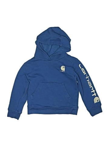 Carhartt Pullover Hoodie (view 1)