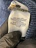 Lands' End Blue Jeans Size 8 - photo 5