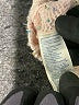 Rebecca Minkoff Tweed Pink Pullover Sweater Size M - photo 8