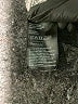 Divided by H&M Gray Kimono Size S - photo 8
