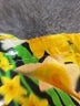 Unbranded Floral Yellow Casual Pants Size L - photo 7