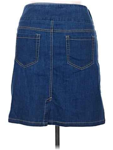 Chadwicks Denim Skirt (view 2)