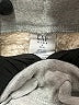 Gap Kids Solid Gray Sweatpants Size 6 - 7 - photo 3