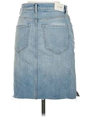 Express Denim Skirt (view 2)
