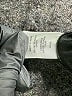 Alexia Admor Black Casual Dress Size XL - photo 8