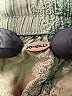 O'Neill 100% Cotton Green Casual Pants Size S (estimated) - photo 7