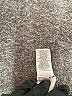 Lucky Brand Blue Jeans Size 30 waist - photo 8