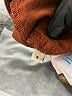 Marine Layer Brown Casual Pants Size 6 - photo 8
