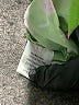 ee:some Green 3/4 Sleeve Blouse Size L - photo 8