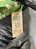 Max Studio Argyle Green Jumpsuit Size S - photo 5