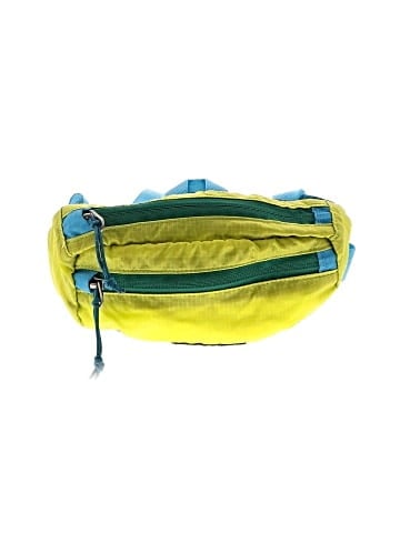 Patagonia Belt Bag (view 1)