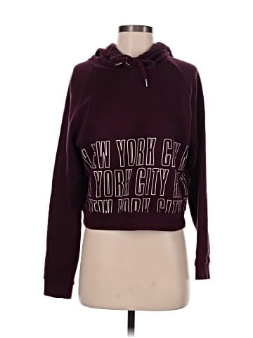 Aeropostale Pullover Hoodie (view 1)