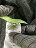 Beetlejuice Black Zip Up Hoodie 12-18 MO / 18 MO - photo 3