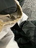 St. John's Bay Tan Khakis Size 12 - photo 9