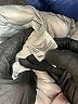 Calvin Klein 100% Polyester Blue Snow Jacket Size XS - photo 7