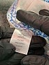 Talbots 100% Cotton Print Blue Casual Skirt Size 10 - photo 5