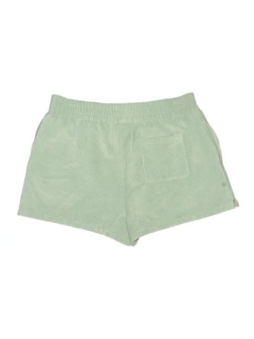 BDG Shorts (view 2)