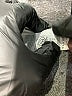 Athleta Brown Active Pants Size XL - photo 5
