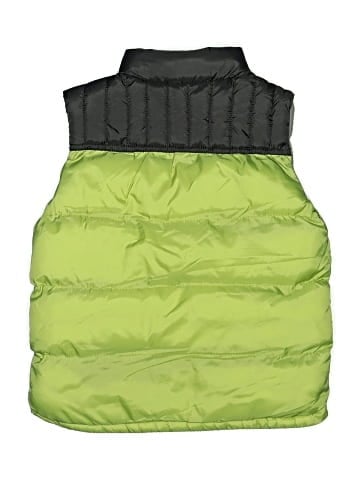 Gymboree Vest (view 2)