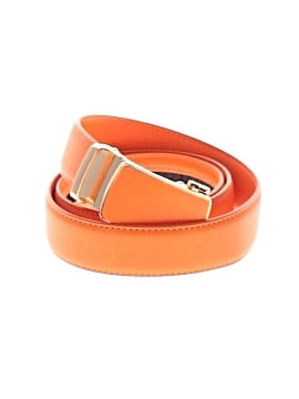 Unbranded Belt (view 1)