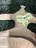Rabbit Bear 100% Cotton Solid Tan Casual Pants Size 3T - photo 3