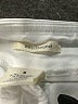 Westbound Ivory Khaki Shorts Size 8 - photo 3